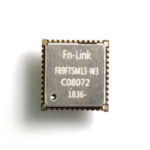 Modulo Wi-Fi FG89ftSM13-W3